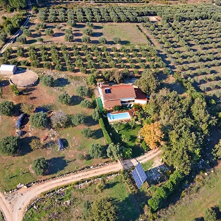 Carcavelos With Pool, Cleaning Included Vakantiehuis *