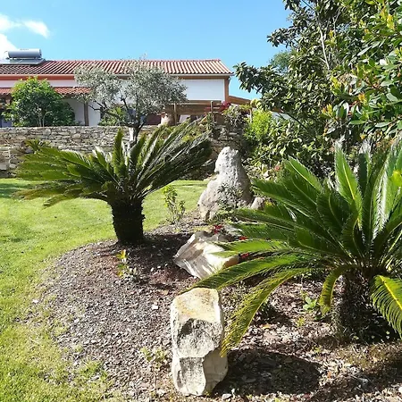 Vakantiehuis Carcavelos With Pool, Cleaning Included *